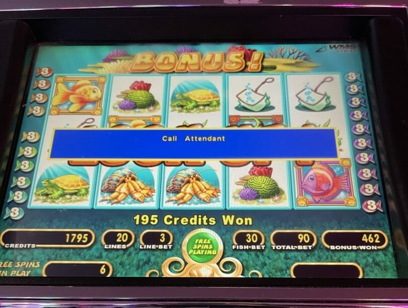 Gold Fish slot machine breakdown at Plaza