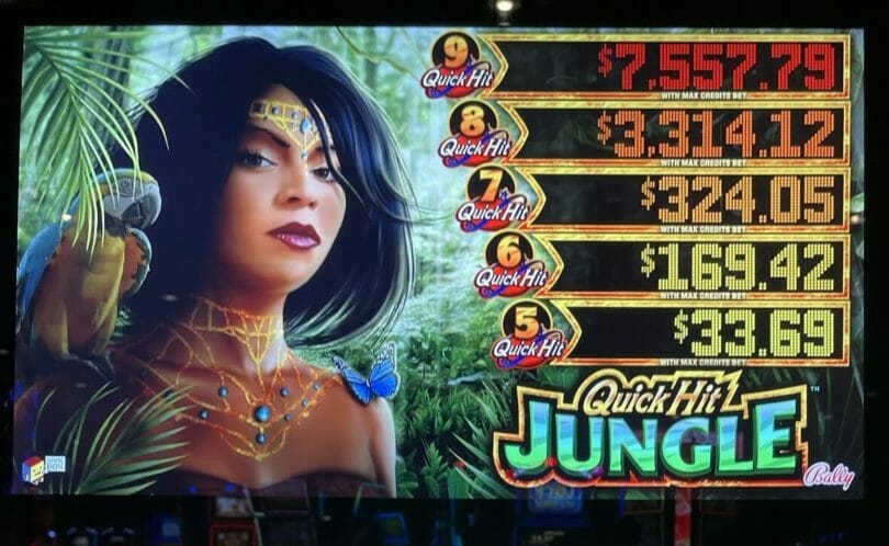 Quick Hit Jungle $3 max bet progressives