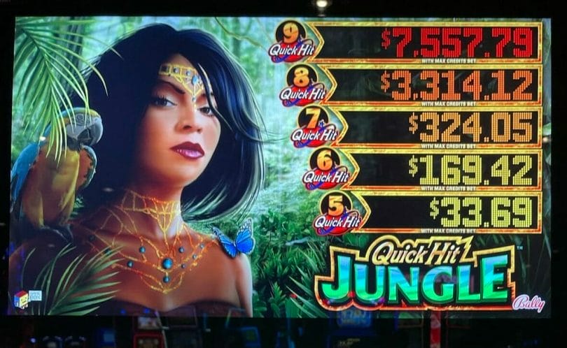 Quick Hit Jungle $3 max bet progressives
