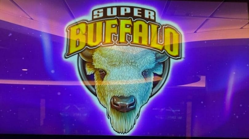 Super Buffalo by Everi logo
