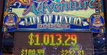 Life of Luxury Alpine Adventure by WMS logo and progressives